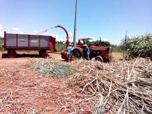 IMG-20150202-WA0016